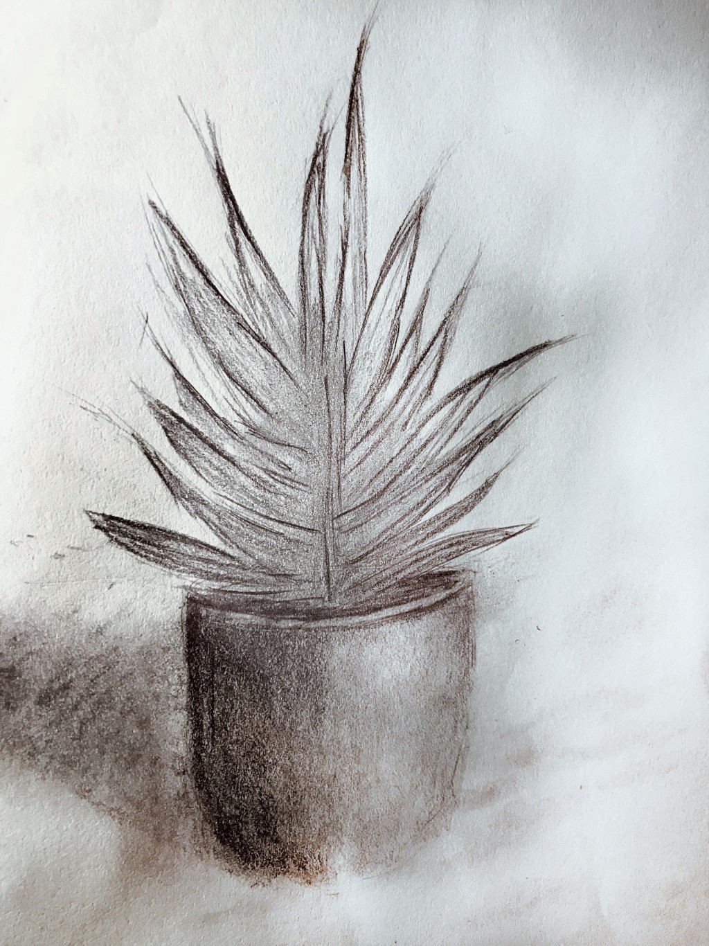 Still Life Practice drawing by Suzette Doodle Addicts