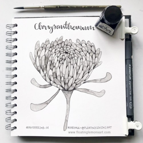 Inktober day 14: Chrysanthemum