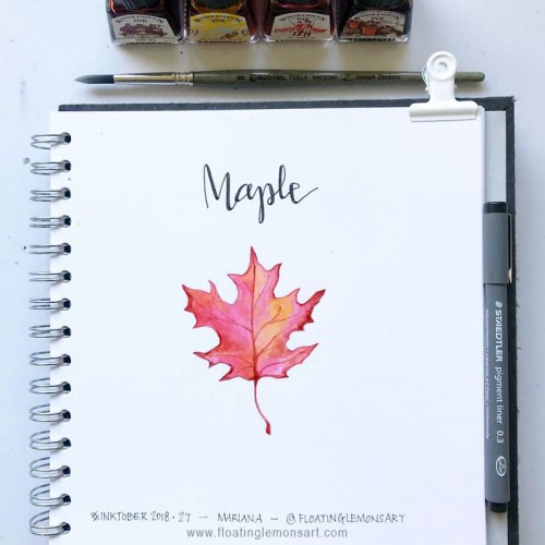Inktober 27: Maple Leaf