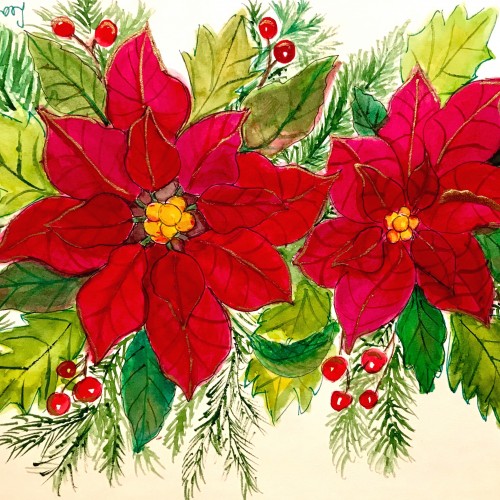 Poinsettia