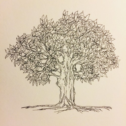 A tree