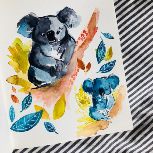 Sketchbook: Koalas
