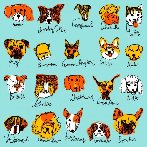 20 Dog Breeds