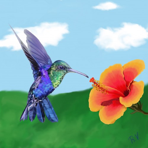 The Very Hungry Hummingbird