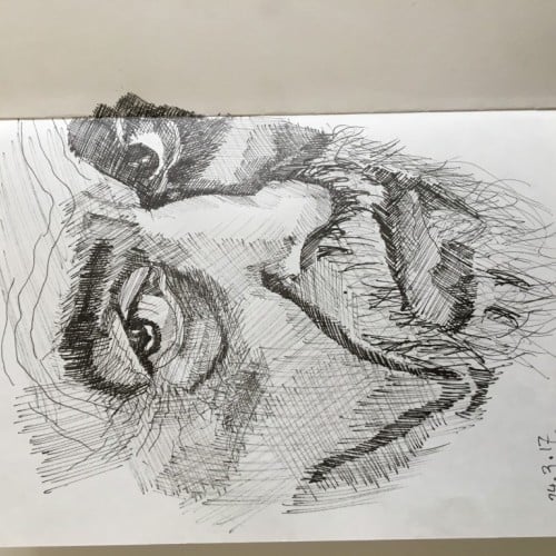 Untitled