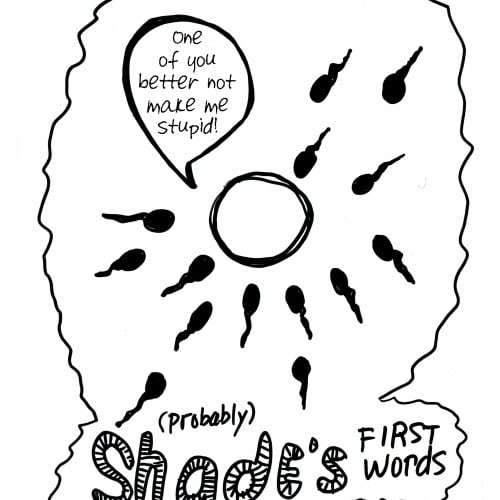 Shades First Words