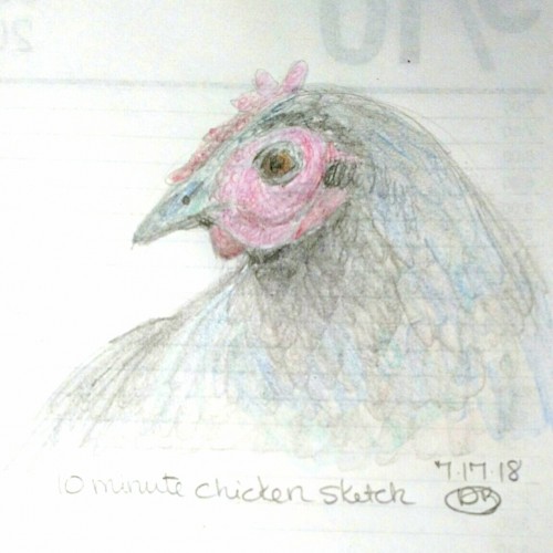 10 Minute Chicken Sketch