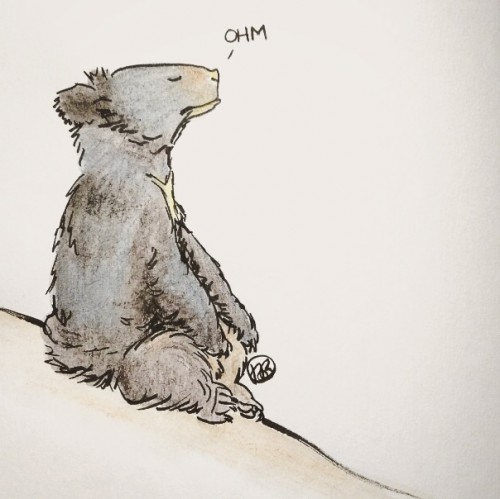 Meditating Bear