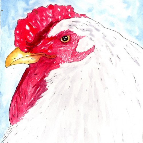 Inktober 5 Chicken