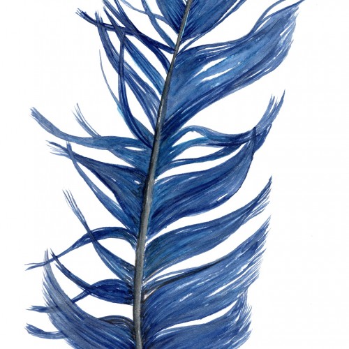 Blue Feather