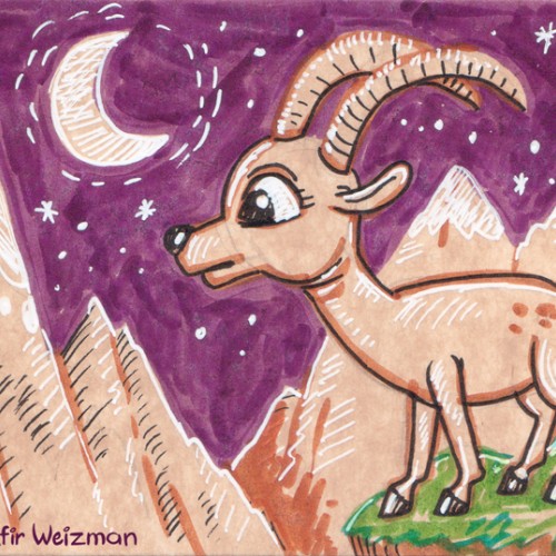 Alpine ibex