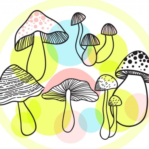 Mushrooms