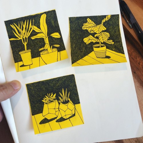 Post-it Plants, Part 2