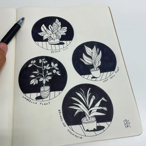 4 Potted Plants