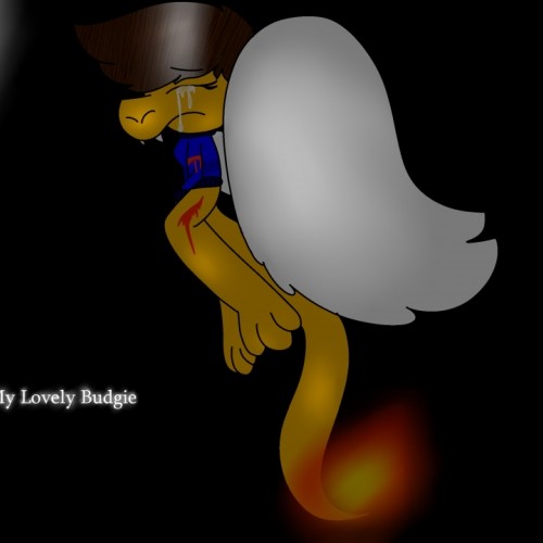 Goodbye My Lovely Budgie (Vent Art)