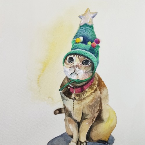 Christmas cat