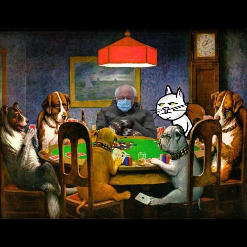 Poker with Bernie and Minnie the cat