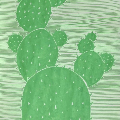 Cactus garden