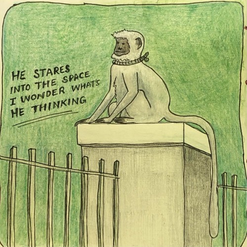 The baboon on the wall