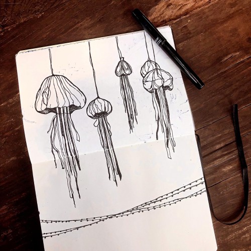 Jelly fish lamps