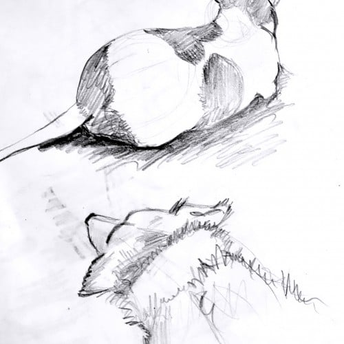 Sketch