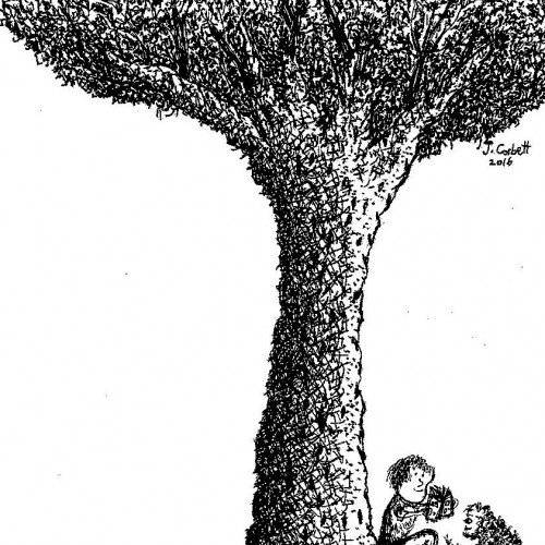 Boy and Dog Under a Tree