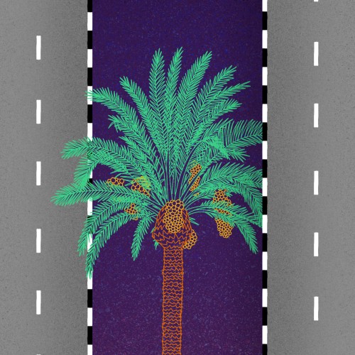 Palm Road