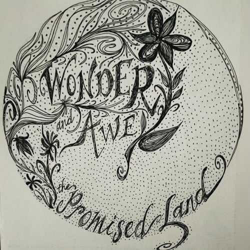 Wonder & Awe - The Promised Land
