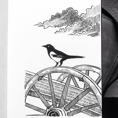 Magpie and wheel