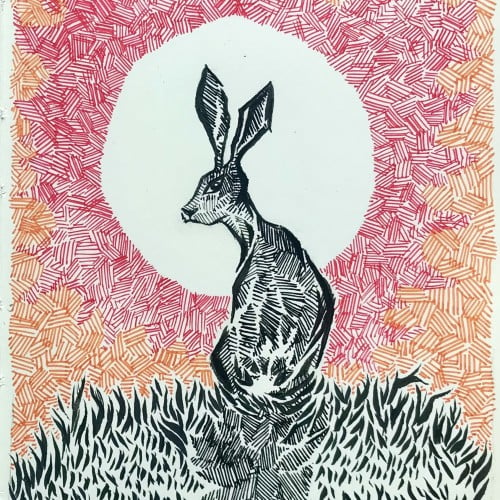 Sunset hare
