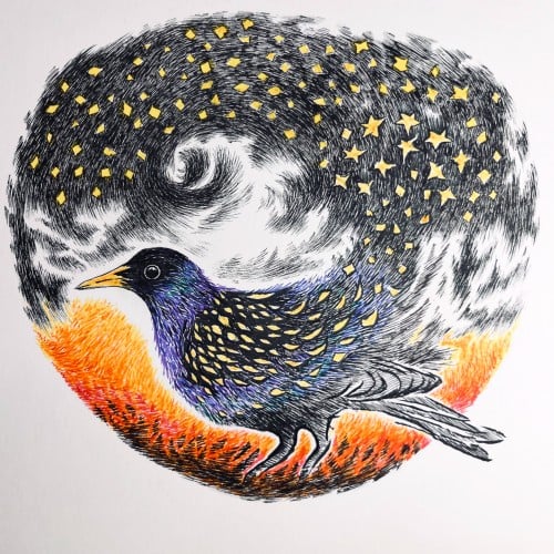 Starling art