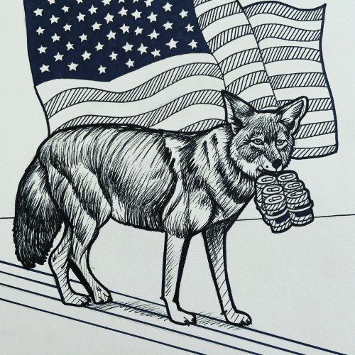 Coyote America