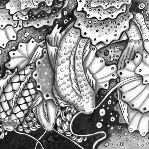 Koi ponds pen and ink