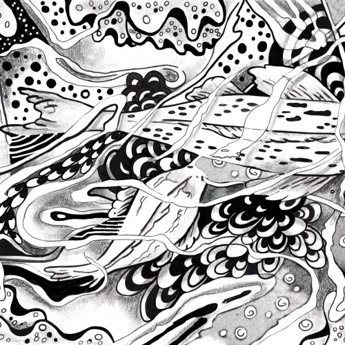 Koi ponds pen and ink