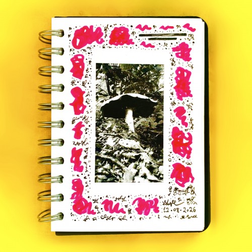 “King Shroom”, August 2026.