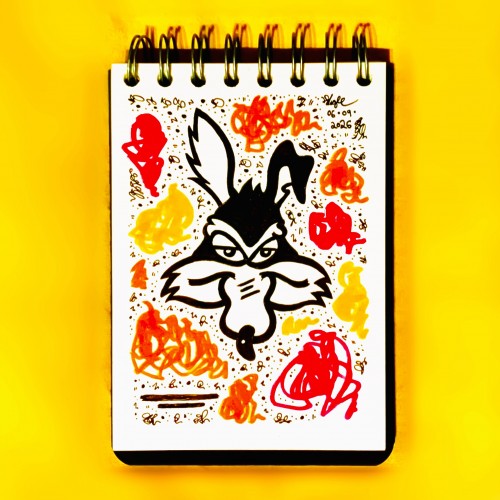 “Don Coyote”, September 2026.