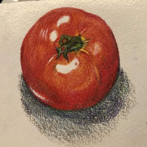 tomato