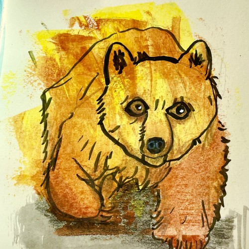 Bear