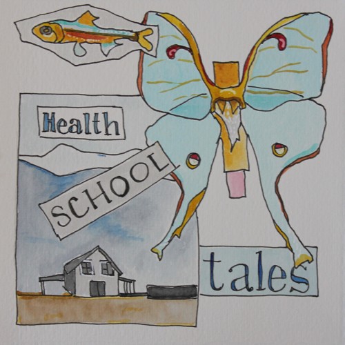 Health School Tales