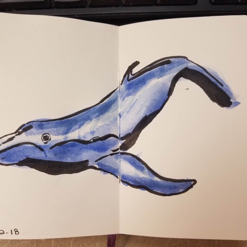 Whale.  Inktober2018