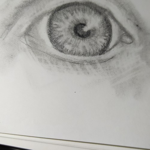 Eye