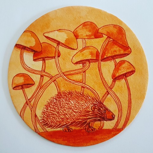 Hue Hedgehog