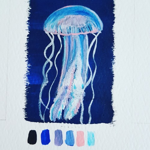 Jellyfish