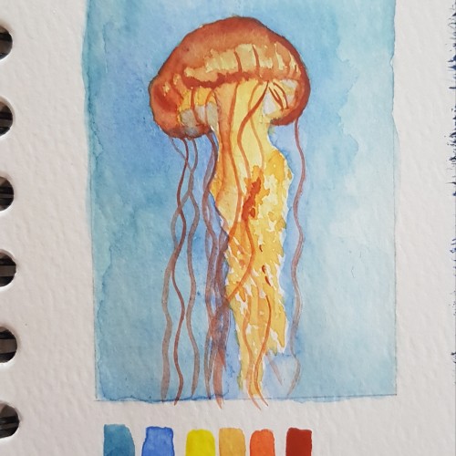 Jellyfish II