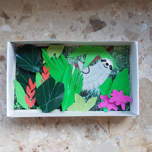 Rainforest in a matchbox