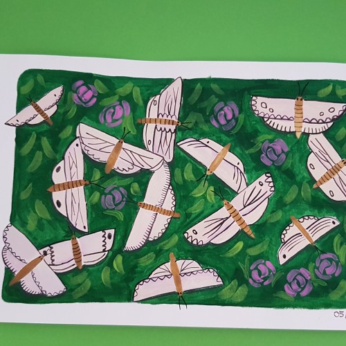 Summermoths