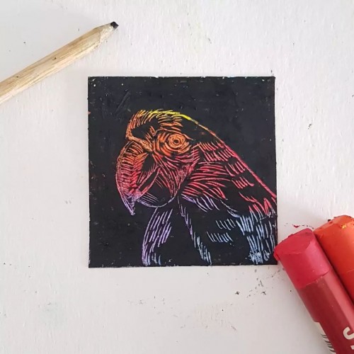 Sgrafitto Parrot