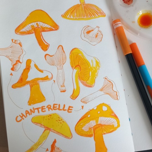 Mushrooms in Ink