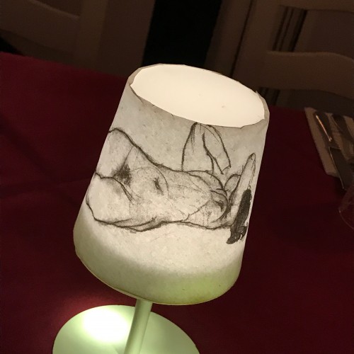 lamp shield