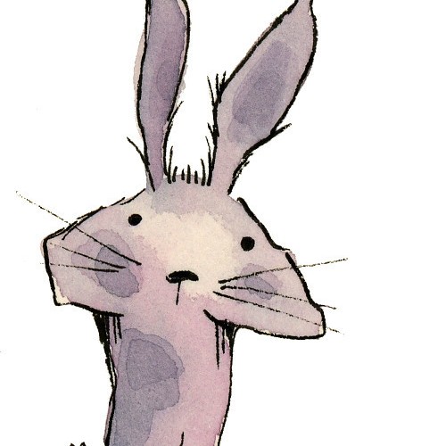 bunny sketch